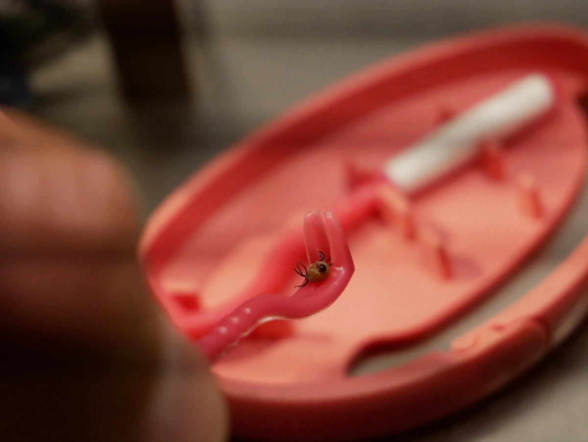 Clipbox Tick Twister â Image 10