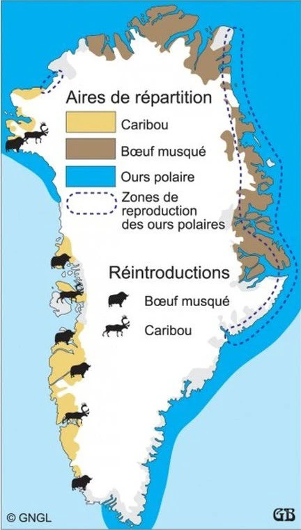 Guide Du Groenland â Image 6