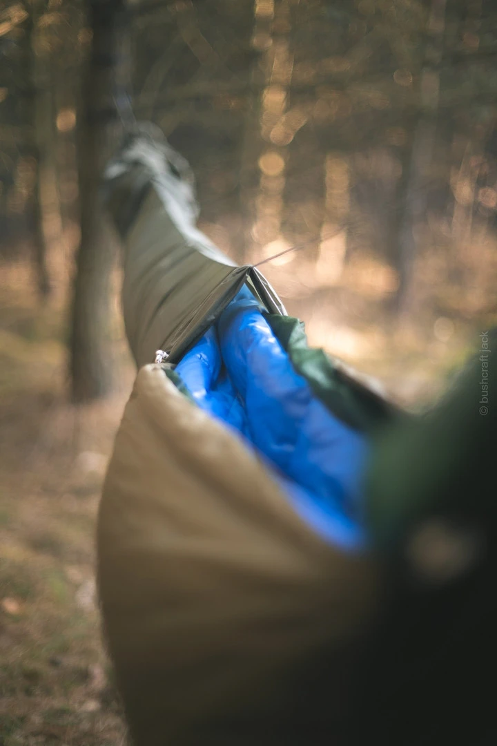 Lesovik Larva â Image 14