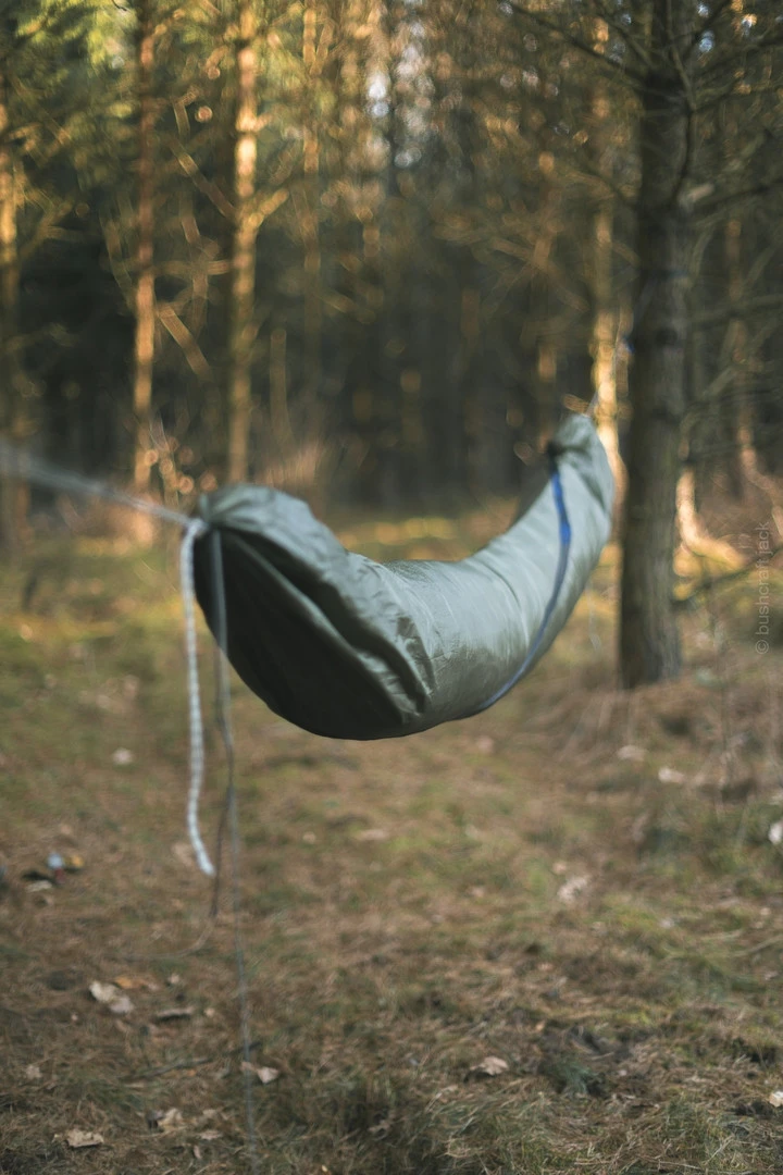 Lesovik Larva â Image 15