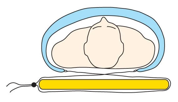 Cumulus Quilt 450 â Image 6