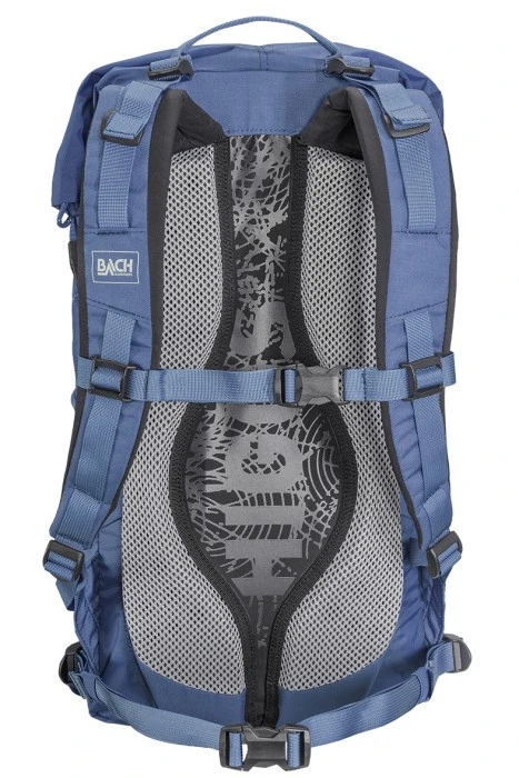 Bach Higgs 15 â Image 3