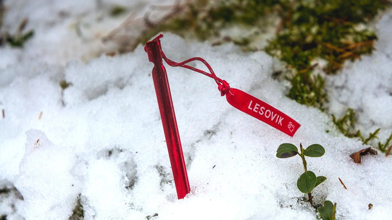 Lesovik Spig Peg â Image 5