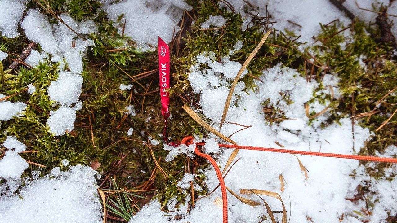 Lesovik Spig Peg â Image 4