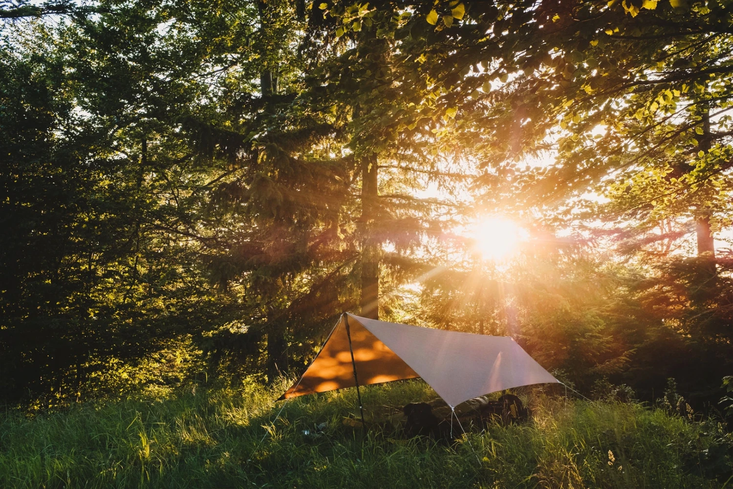 Lesovik Zmora â Image 8