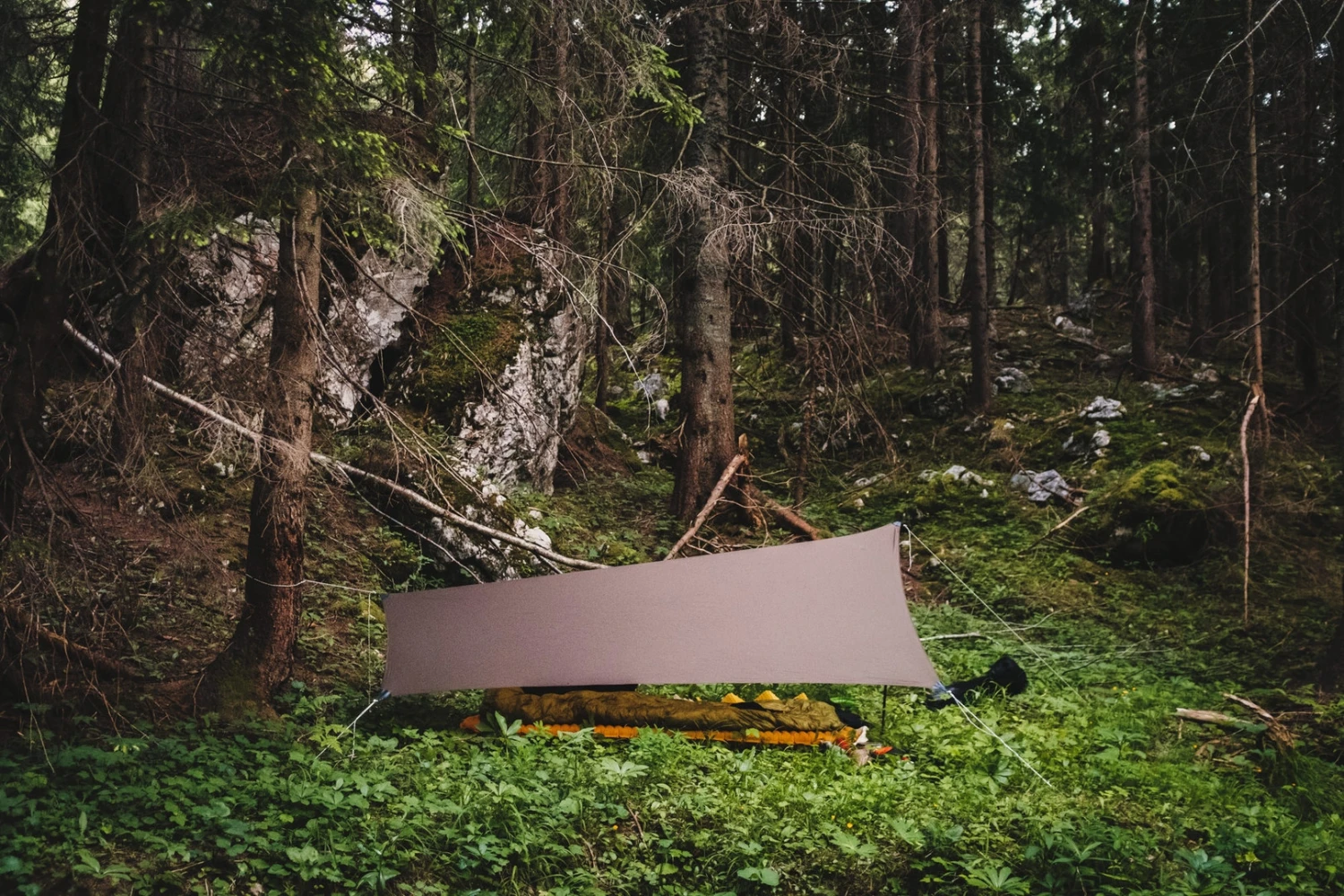 Lesovik Zmora â Image 18