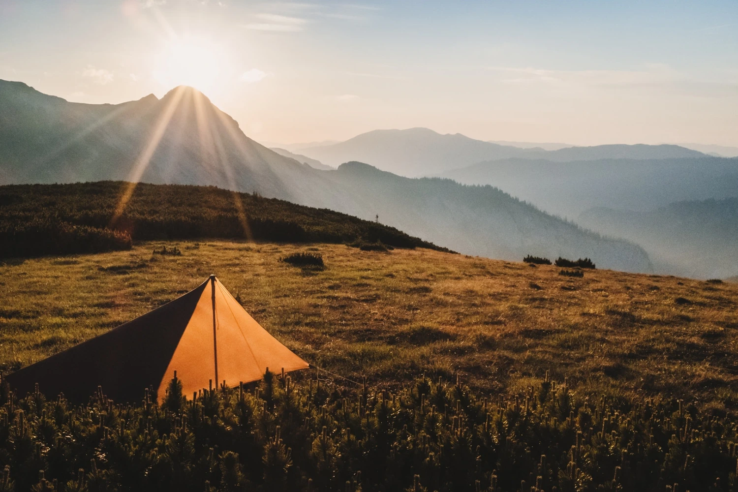 Lesovik Zmora â Image 13