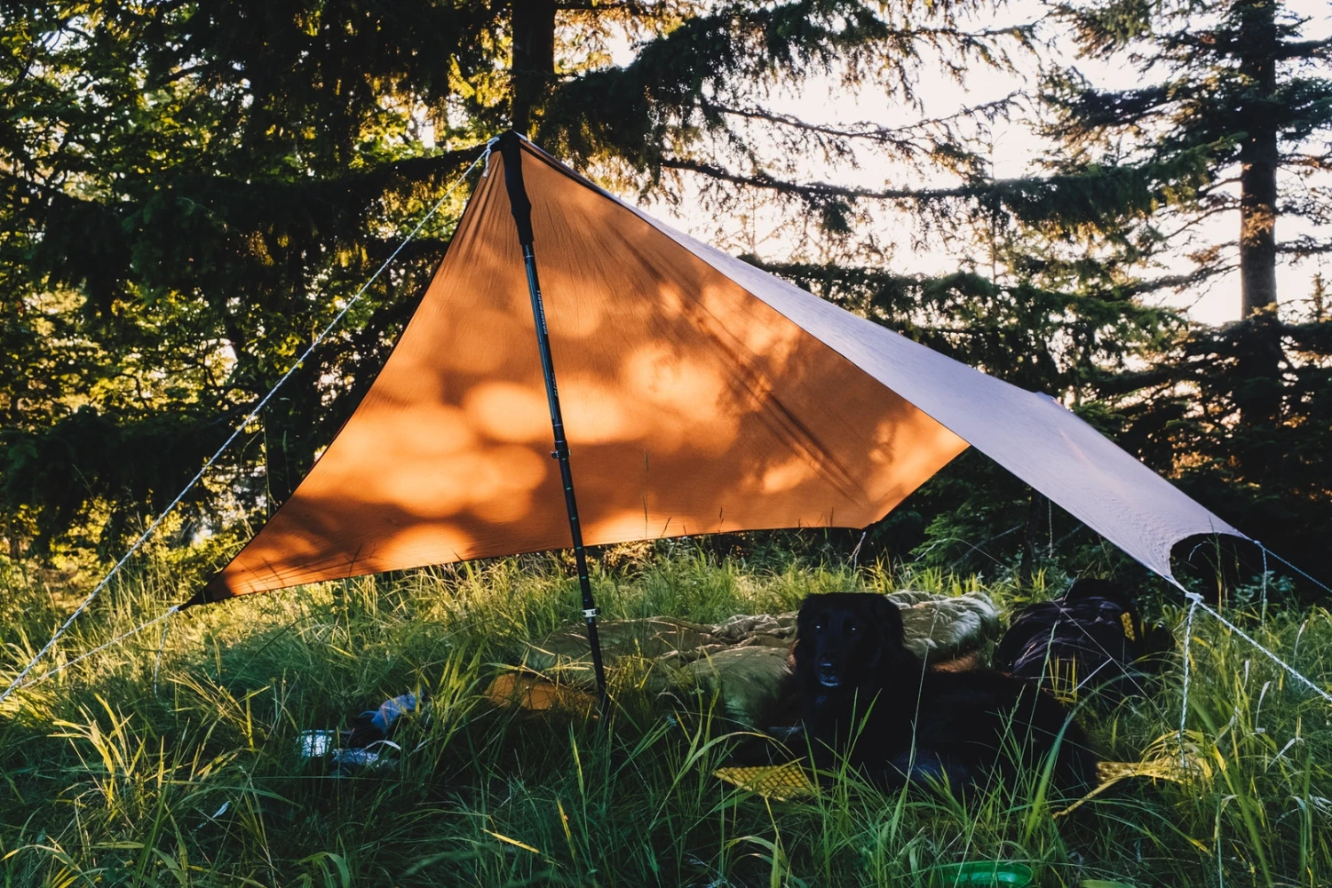 Lesovik Zmora â Image 17