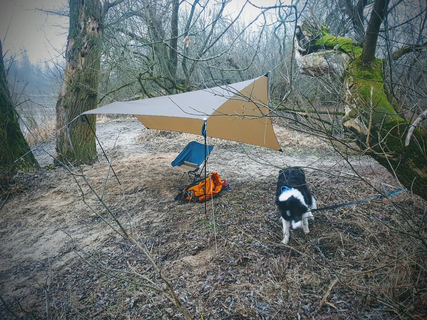 Lesovik Zmora â Image 15