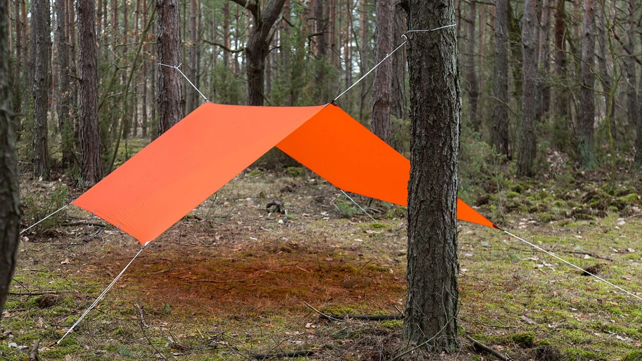 Lesovik Groza â Image 8