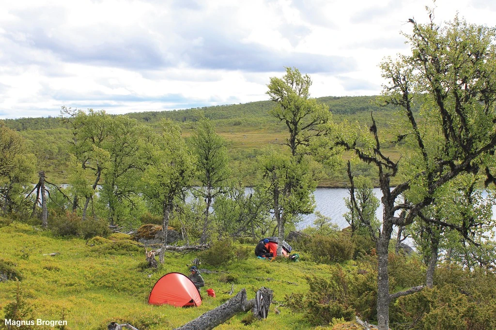 Hilleberg Enan â Image 5